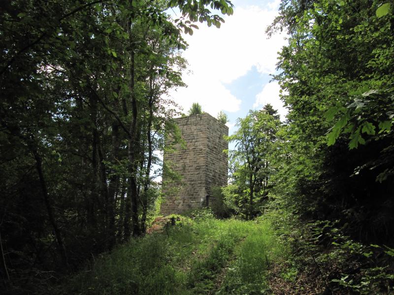 Ruine Steinegg 1