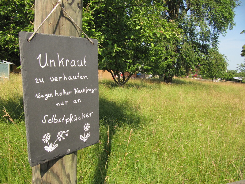 Unkrautverkauf