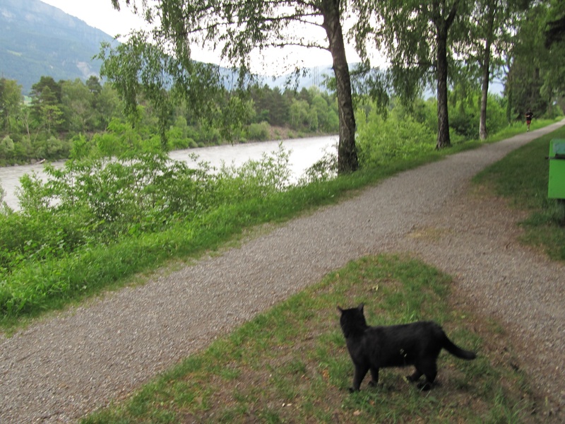 Bernstein am Rhein