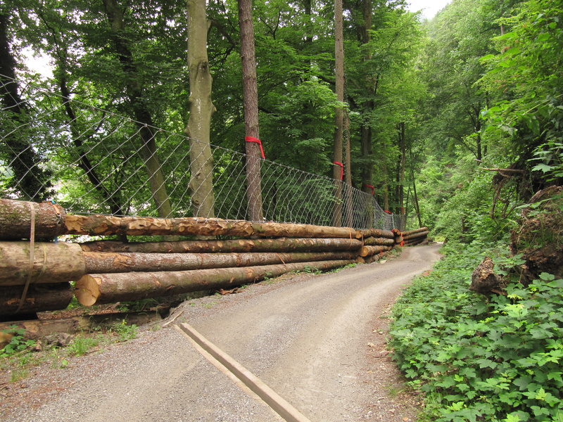 Weg zum Guschakopf 1