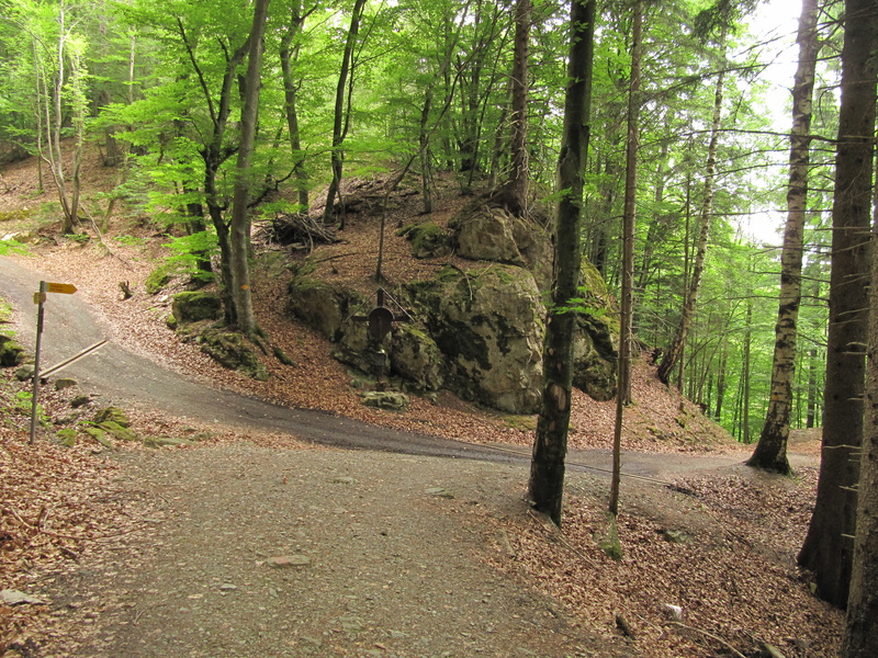 Weg zum Guschakopf 3