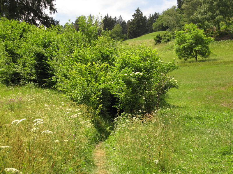 Das ist der Weg bergauf