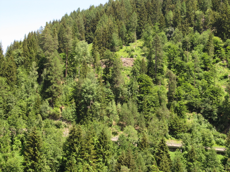 Blick von Valendas nach Carrera