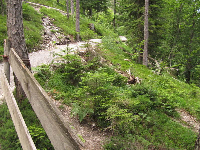 Weg zur Geisterklamm 3