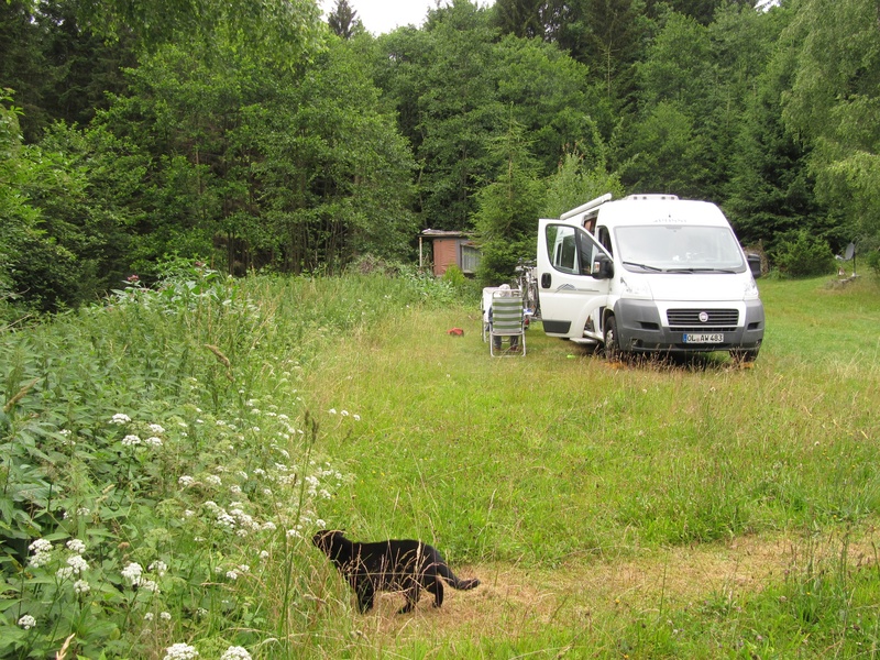 Campingplatz Ammermühle