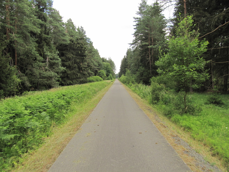 Radweg in Asphalt