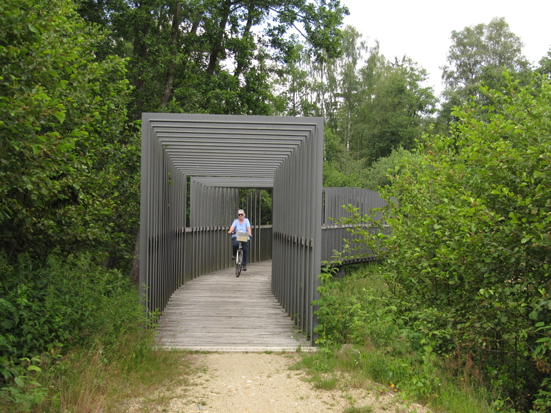 Carportartiger Weg