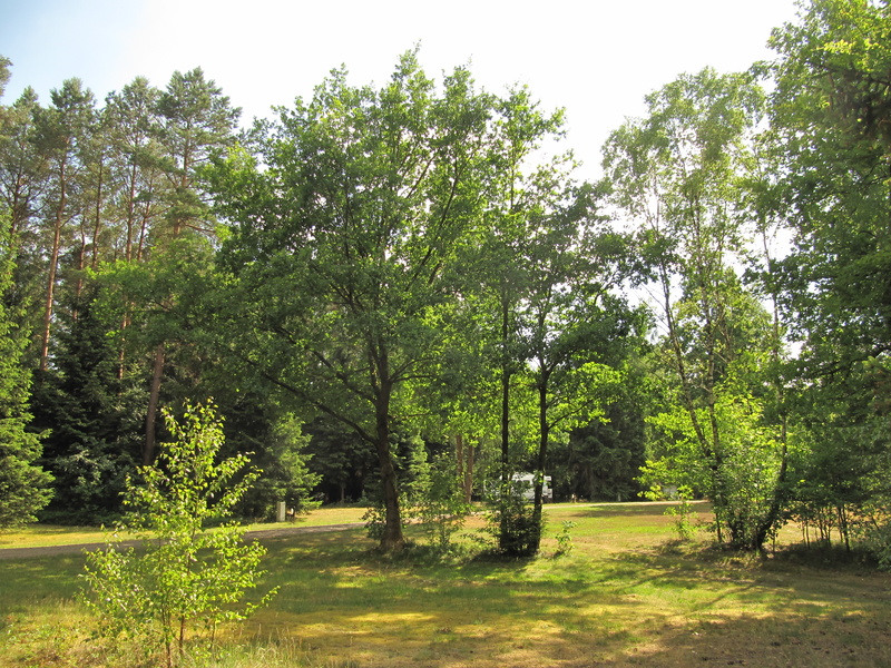 Campingplatz Gerdehaus