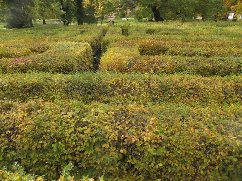 Der Irrgarten in Altjeßnitz 4