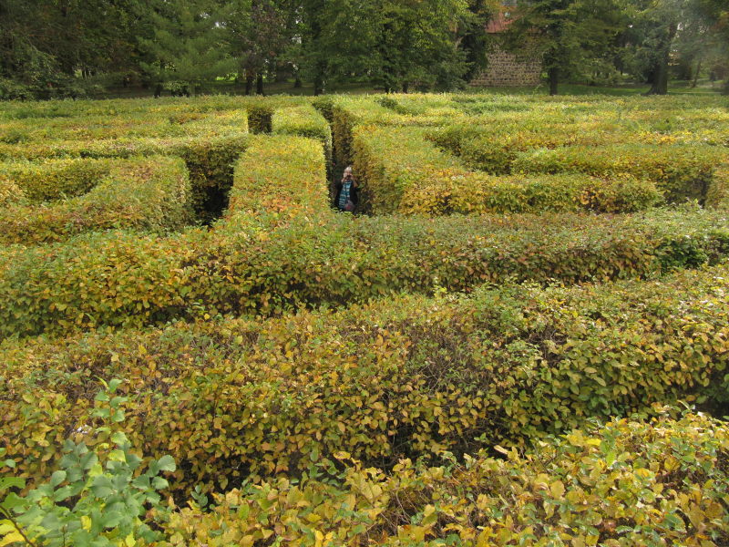 Der Irrgarten in Altjeßnitz 5