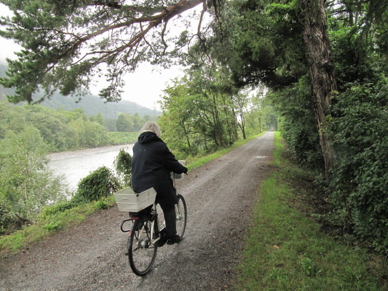 Radtour am Rhein 5