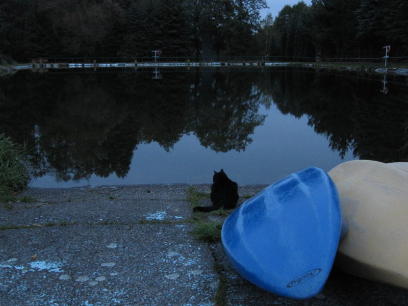 Bernstein am Wasser 2