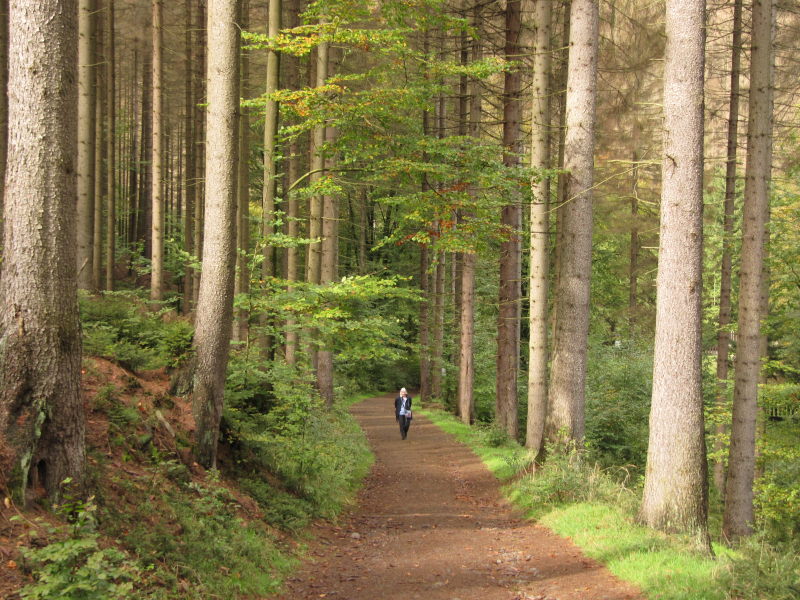 Rundgang mit Besuch der Edmundklamm 2