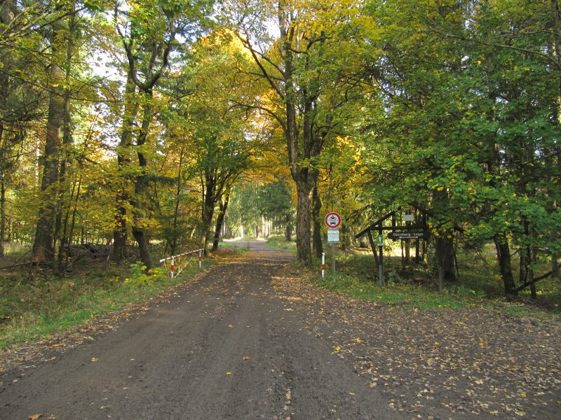 Der Nullpunkt im Harz 1