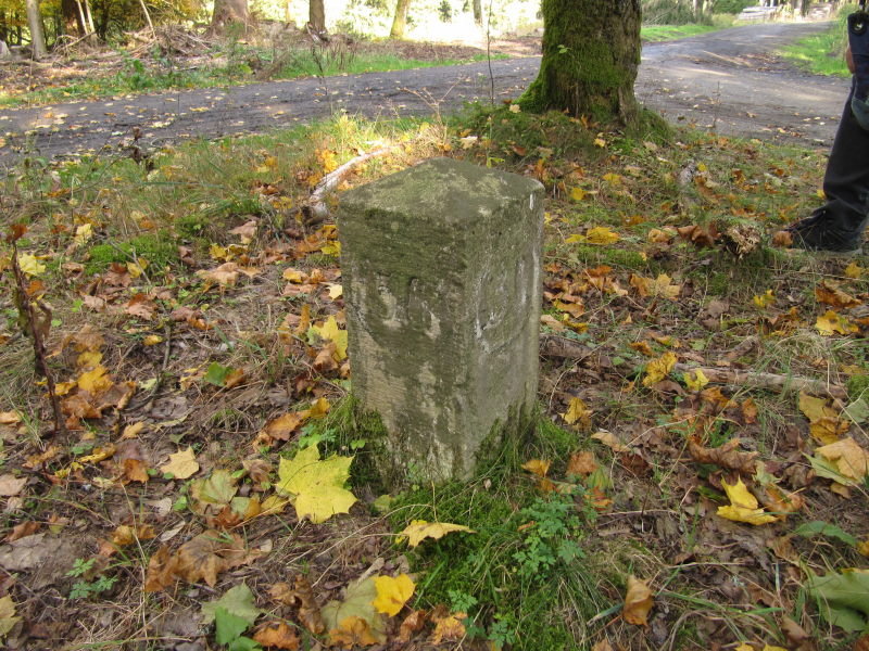 Der Nullpunkt im Harz 6