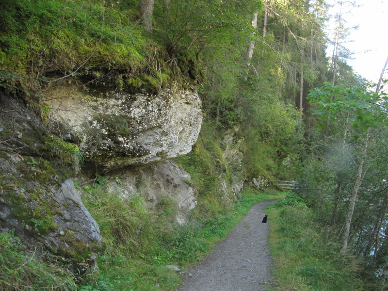 Spaziergang mit Bernstein 2