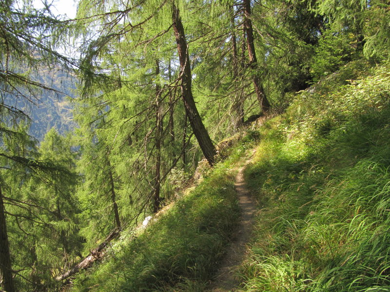 Wanderung in Hinterbichl 8