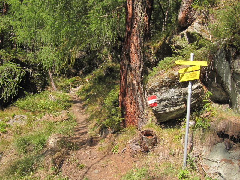 Wanderung in Hinterbichl 15