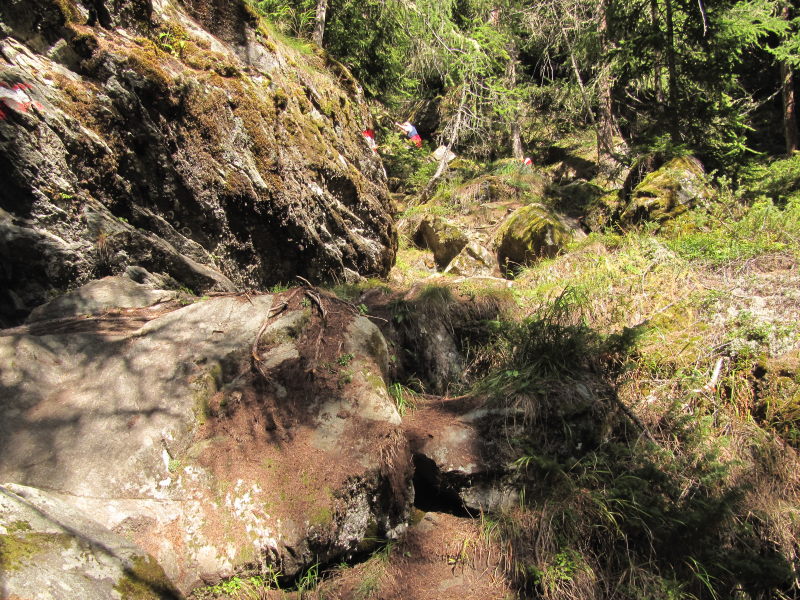 Wanderung in Hinterbichl 16