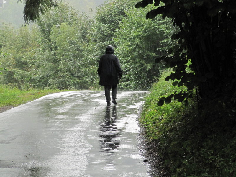 Spaziergang bei Regen 1