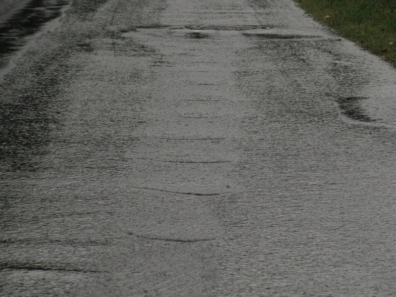 Spaziergang bei Regen 2