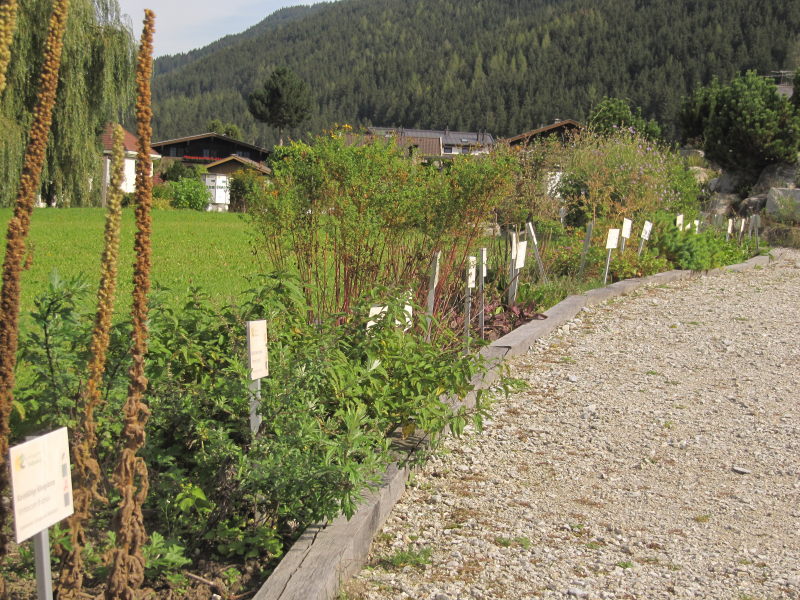 Der kräutergarten in Hollersbach 2