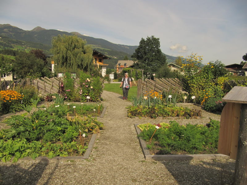 Der kräutergarten in Hollersbach 4