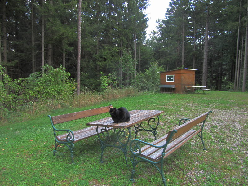 Auf dem Campingplatz Kleinzell 3