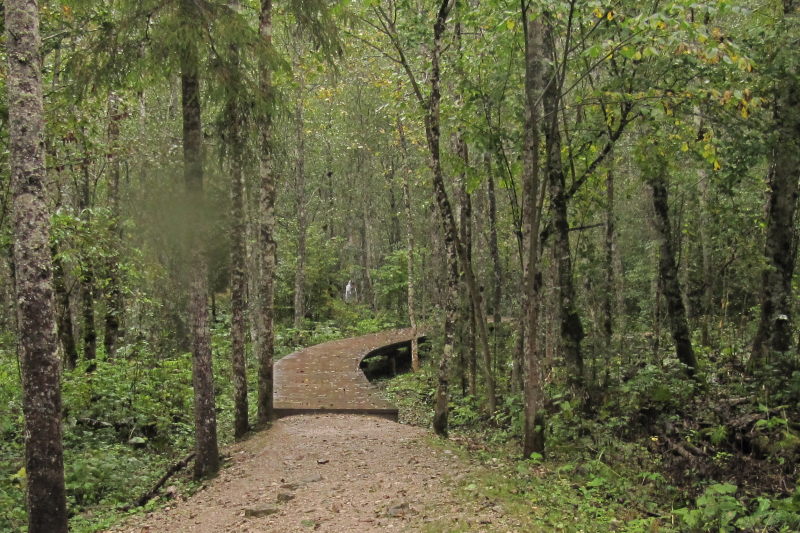 Der Holzweg 17