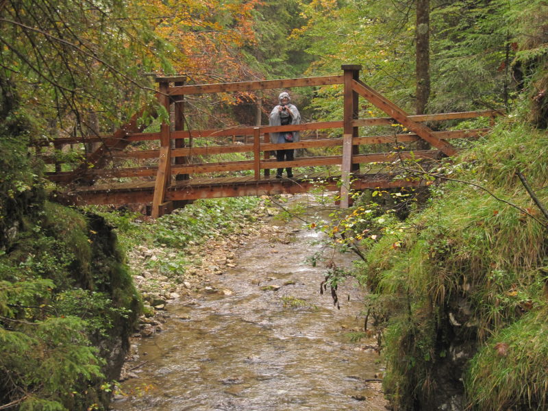 Der Holzweg  21