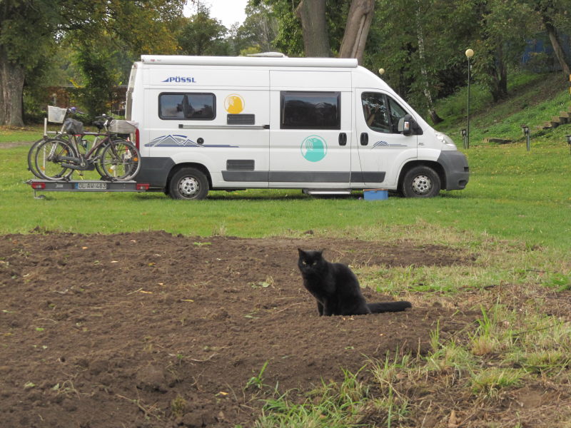 Kater scheißt zum Abschied nochmal