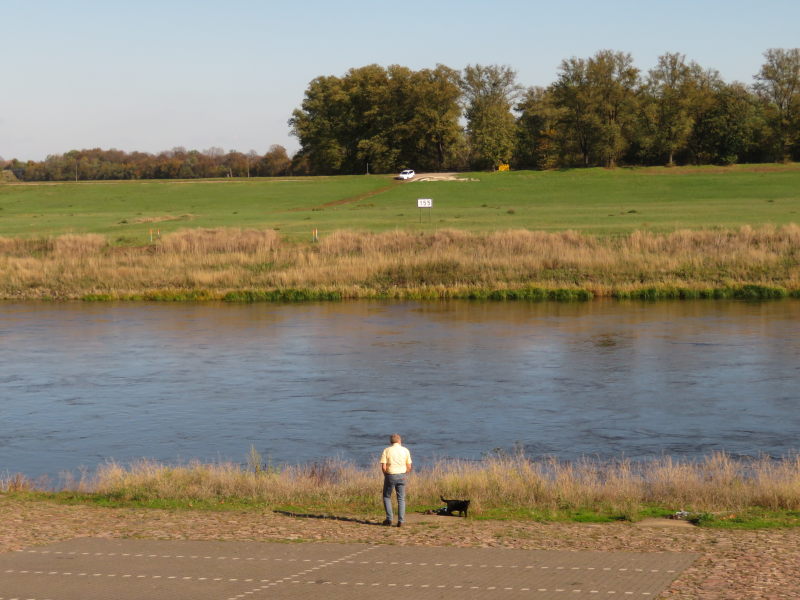 Pause in Torgau direkt an der Elbe 2