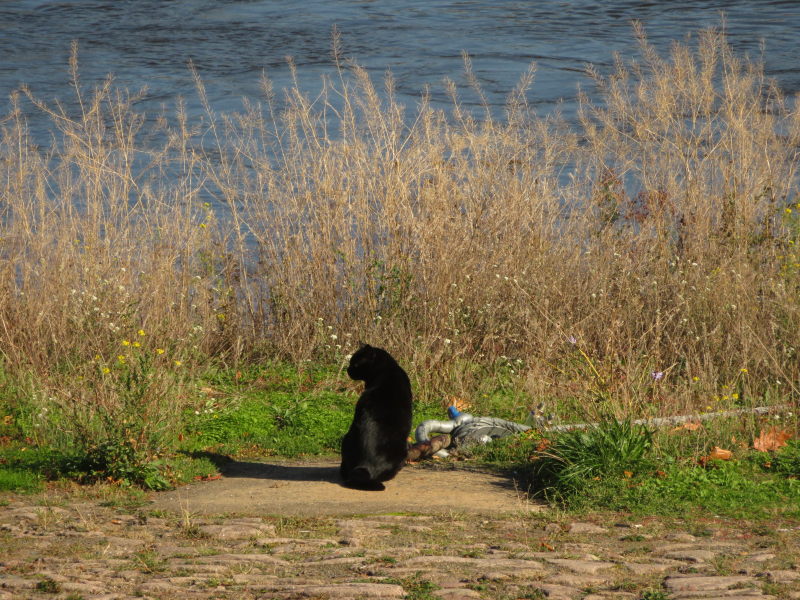 Pause in Torgau direkt an der Elbe 3