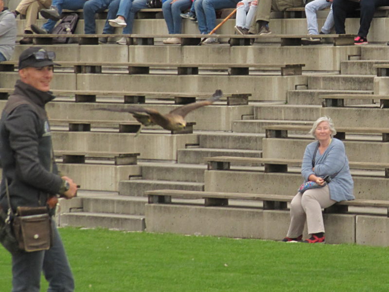 In der Adler-Arena Landskron 13