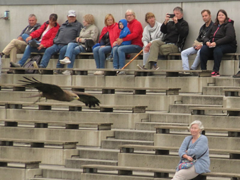 In der Adler-Arena Landskron 14