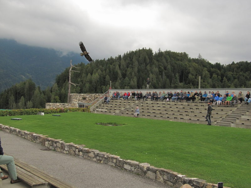 In der Adler-Arena Landskron 16