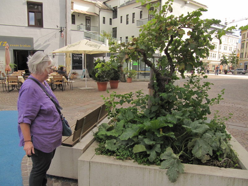 Stadtrundgang in Villach 13