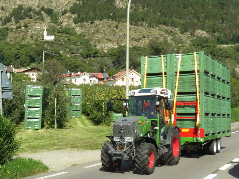 Apfelernte im Vinschgau 6