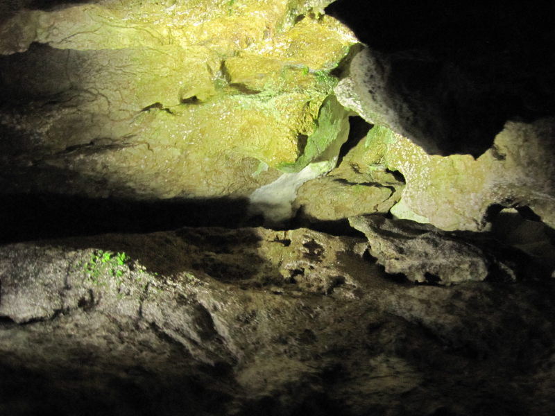 Wimsener Höhle 5