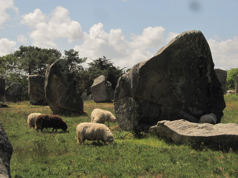 Die Steinreihen von Carnac 7