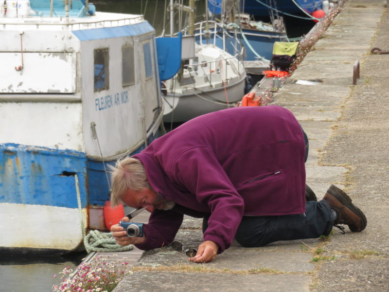 Bilder vom Hafen Douarnenz 9