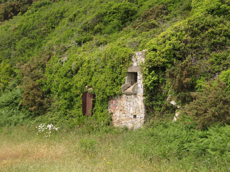 Steinbruch am Kuckucksfelsen 2