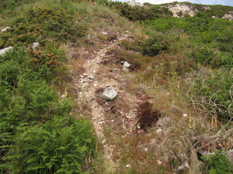 Steinbruch am Kuckucksfelsen 3