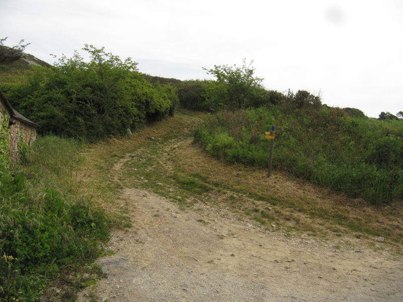 Weg zum Kuckucksfelsen 3