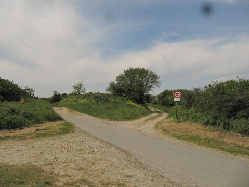 Weg zum Kuckucksfelsen 4