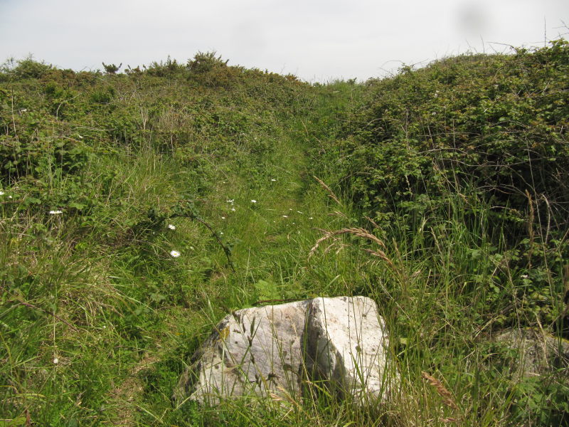 Weg zum Kuckucksfelsen 5