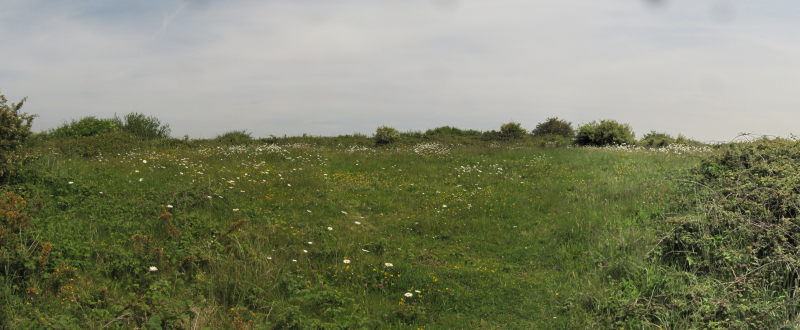 Weg zum Kuckucksfelsen 6