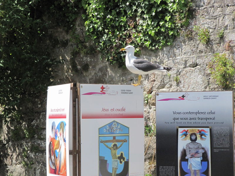 Bilder vom Besuch des Mont Saint Michel 10