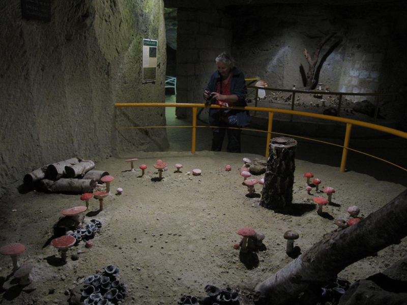 Pilz-Museum bei Saumur 4