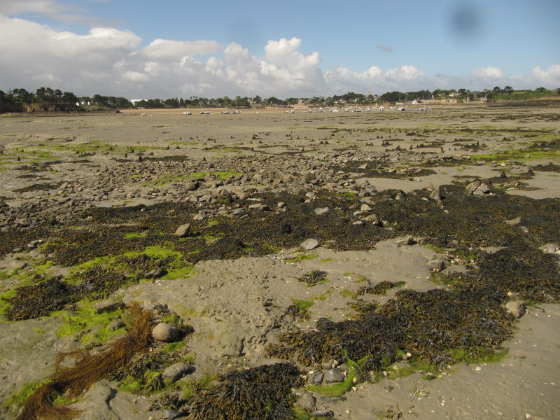 Die Rotheneuf-Bucht ohne Wasser 2